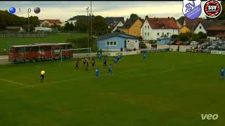 Landesliga Mitte 14 Spieltag SVSE vs Eggenfelden [upl. by Tedie767]