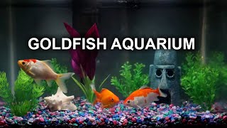 GOLDFISH AQUARIUM  8 HOURS  RELAXING  NO MUSIC [upl. by Ahsilem961]