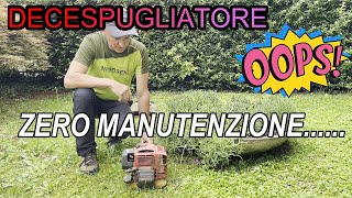 Decespugliatore con zero manutenzioneTJ45 [upl. by Henry455]