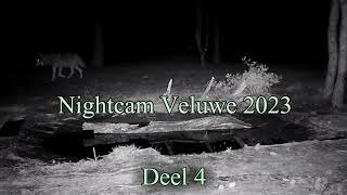 Nightcam Veluwe 2023 deel 4 wildlife movie [upl. by Nohj]