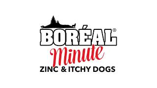 Boréal Minute Zinc [upl. by Lurlene74]