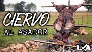 CIERVO DE 38 KG AL ASADOR  Receta de Locos X el Asado [upl. by Ahsenaj]