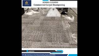 📞 Call 9167677575  Commercial Carpet Deep Cleaning  Shampoo Price List in Mumbai  Rates  Cost [upl. by Slerahc]