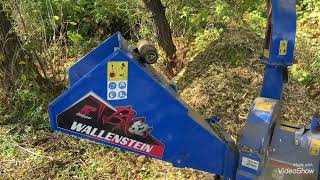 Reveiw Wallenstein BX52s wood chipper [upl. by Llertnom631]