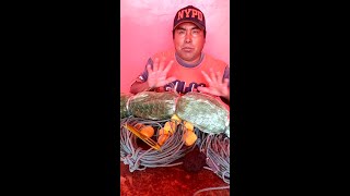 Como Fazer Armar Tejer una RED Trasmallo de PESCA paso a paso [upl. by Aeht685]