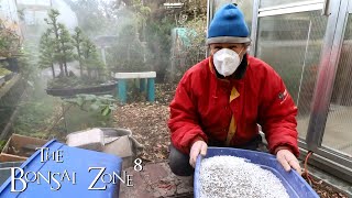 Mixing Up My Bonsai Soil The Bonsai Zone Nov 2021 [upl. by Yenwat]