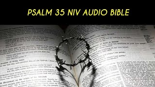 PSALM 35 NIV AUDIO BIBLE [upl. by Eltsyrc]