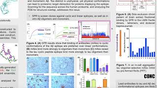 Epitope prediction for oligomer selective antibodies in tau and Aβ  AAIC 2020  Steven Plotkin [upl. by Brinkema]