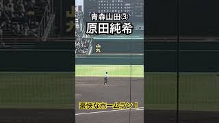 原田純希 青森山田 高校野球 甲子園 [upl. by Moira]