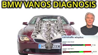 BMW VANOS and Timing Chain INPA Diagnostics [upl. by Einner]