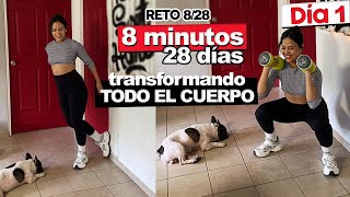 8 MIN RETO QUÉMALO TODO Y ENDURECE Día 128  EJERCICIOS PARA PERSONAS OCUPADAS [upl. by Ateekan]