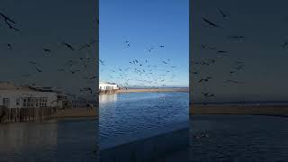 One fine day at Capitola Beach capitola california [upl. by Shear]