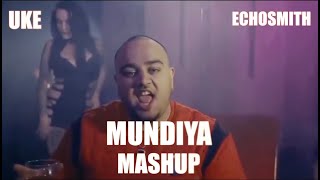 Mundian Tu Bach Ke  Panjabi MC  UKE X ECHOSMITH MASHUP [upl. by Kopple]