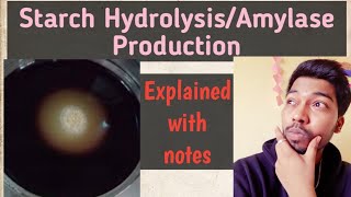 Starch HydrolysisBacterial Amylase ProductionFungiMechanismRohit Mane Scientistracademy [upl. by Suhploda]