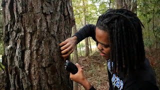 ASMR at my favorite nature spot public asmr [upl. by Amjan699]