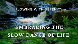 Flowing with serenity embracing the slow dance of life guided meditation relaxation sleep amp calm [upl. by Notelrac437]