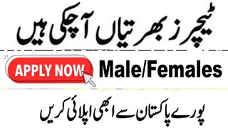 sunday teaching jobs  male female teaching jobs  online apply [upl. by Delwyn]