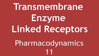 Transmembrane Enzyme Linked Receptors Pharmacodynamics Part 11  Dr Shikha Parmar [upl. by Spooner]