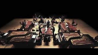 Steve Reich Music for 18 Musicians [upl. by Ylaek]