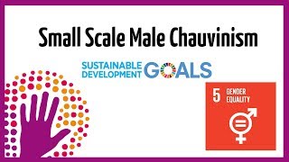 What Is Small Scale Male Chauvinism [upl. by Annaej]