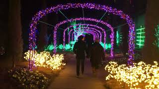 Cheekwood Holiday Lights 2017 [upl. by Atram]