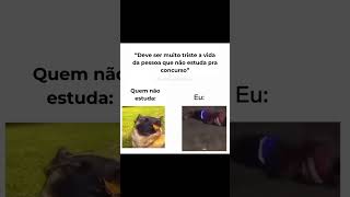 Está tudo bem por aí guerreiro 🤣🤣🤣 [upl. by Zetram]