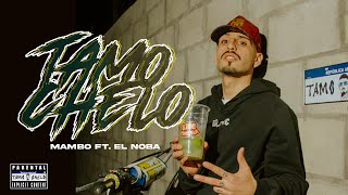 TAMO CHELO  RKT  MAMBO DJ FT EL NOBA ElNoba  TEAM RKT 🛸 [upl. by Anivas]