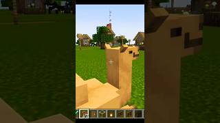 Camel Farm  Minecraft  gameplay  gaming shorts shortvideos thegamingbros [upl. by Yrocej333]