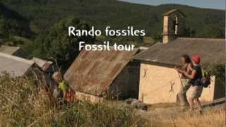 Rando fossiles en provence  Fossils walk in Provence [upl. by Tnerb]