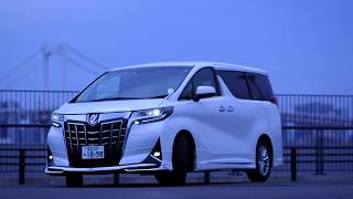 TOYOTA ALPHARD NORMAL BODY MODELLISTA  Image Movie [upl. by Brana]