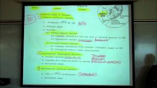 Organization of the Nervous System the CNS amp PNS by Professor Fink [upl. by Dennard]