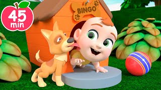 Bingo Song  Newborn Version  Newborn Baby Songs amp Nursery Rhymes [upl. by Iclek595]