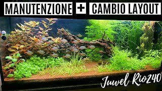 Manutenzione e cambio Layout 💦 Juwel Rio240 [upl. by Meredith538]