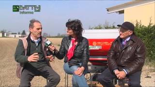 Battini Agri Informa 112014  Semina a diamante e concimazione [upl. by Doll858]