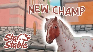 Silversong Pony CHAMP  Quests amp Rep  Star Stable Online 💗 [upl. by Yroger781]