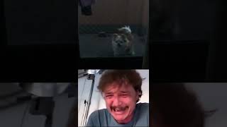 Pedro Pascal Laughing Then Crying [upl. by Erehpotsirhc]