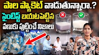 పాల పాకెట్స్ వాడే వారు తప్పక చుడండి  GOOD MILK VS BAD MILK  Adulterated milk Test  iD Health 360 [upl. by Lark285]