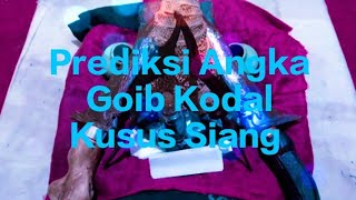 Prediksi Angka Goib Kodal Daun Demit Kusus Siang Hari Ini [upl. by Aneres]