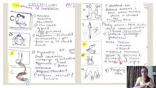 COLCHICUM AUTUMNALE  drug for dysentry and rheumatism  Materia Medica [upl. by Ettezus104]