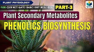 PLANTS SECONDARY METABOLITESPART3  PHENOLICS BIOSYNTHESIS CSIR NET [upl. by Alston]