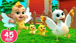 Old MacDonald Learn Animal Sounds  Newborn Baby Songs amp Nursery Rhymes [upl. by Esidnac371]