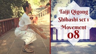 Qigong Exercises Tai Chi Qigong Shibashi set 1 movement 8 [upl. by Navanod521]