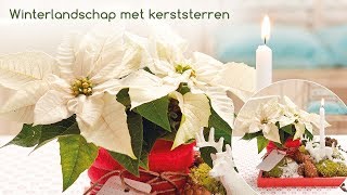 Decoratie idee voor bloemisten Winterlandschap met kerststerren [upl. by Esaele]