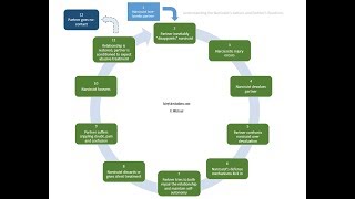 The Expanded Cycle of Narcissistic Abuse [upl. by Yadsnil844]