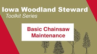 Basic Chainsaw Maintenance Iowa Woodland Steward Toolkit Series [upl. by Nevyar]