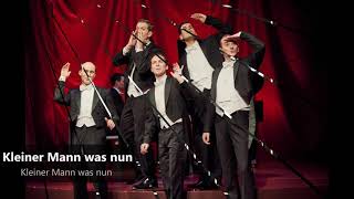 Comedian Harmonists  Kleiner Mann was nun 1933 [upl. by Schlenger]