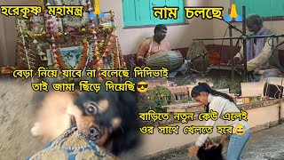 নাম চলছেহরেকৃষ্ণ মহামন্ত্র 🙏।।বেড়া নিয়ে যাবে না বলেছে দিদিভাইতাই জামা ছিঁড়ে দিয়েছি😎।। Madhurima [upl. by Akitan397]