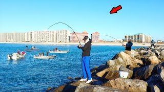 2 Hours of Catching Big Fish from the Rocks Jetty [upl. by Ecarret129]