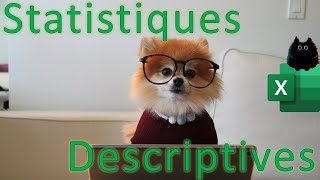 Excel  Utiliser lUtilitaire danalyse pour les statistiques descriptives Tutoriel pratique [upl. by Engelbert]