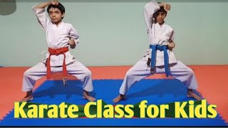 Karate class for kids  Learn kids karate at home  Karate kids [upl. by Yrram709]